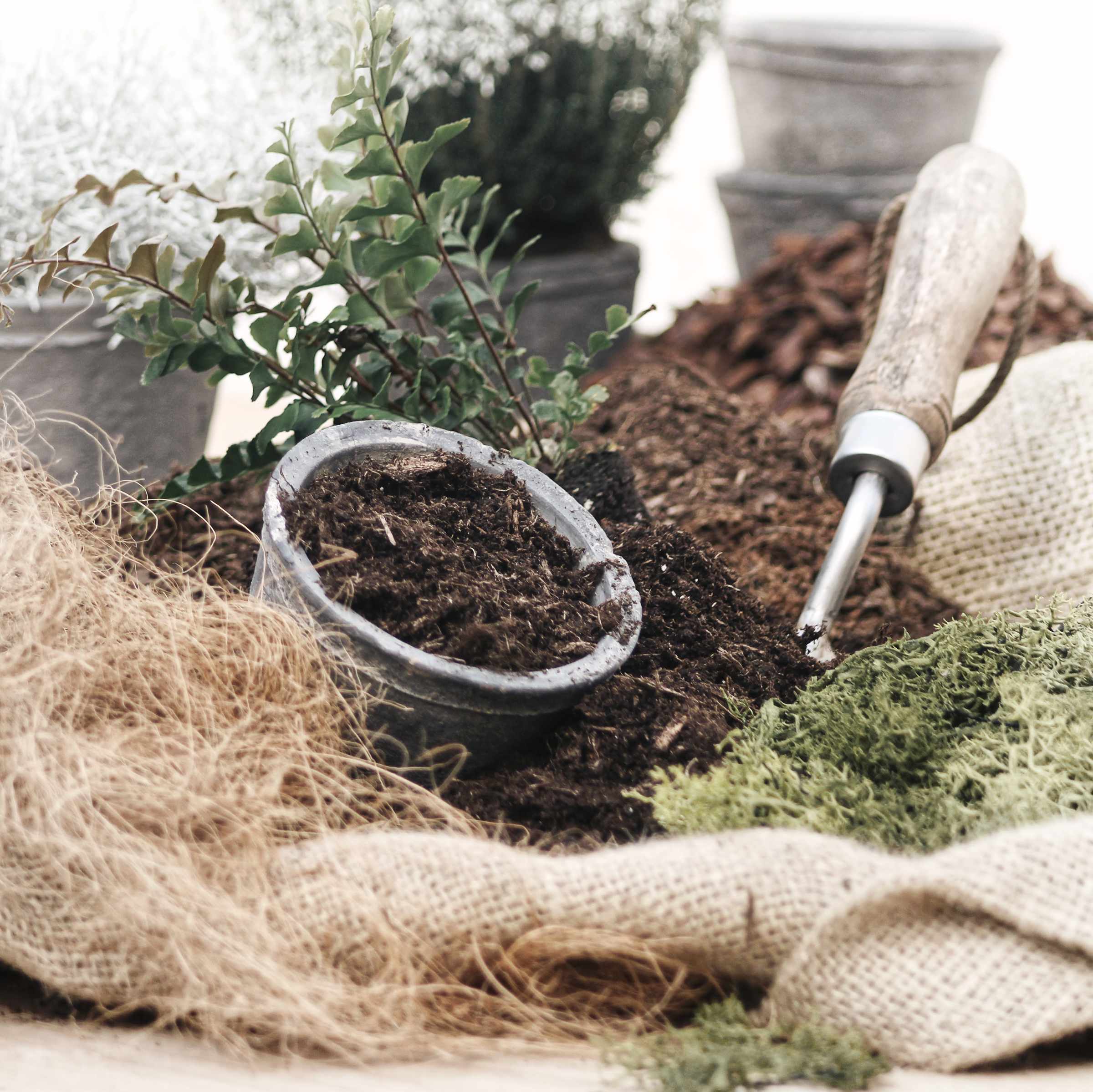 Growing Media & Mulches Online