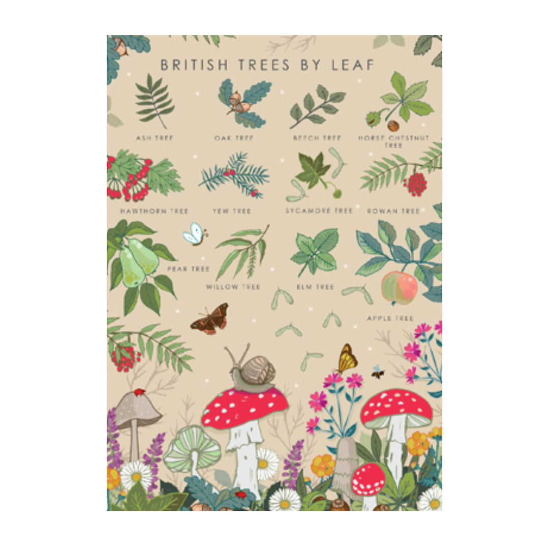 British Trees by Leaf