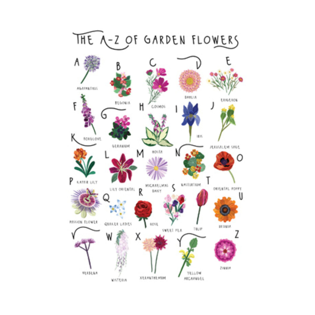 A-Z of Garden Flowers