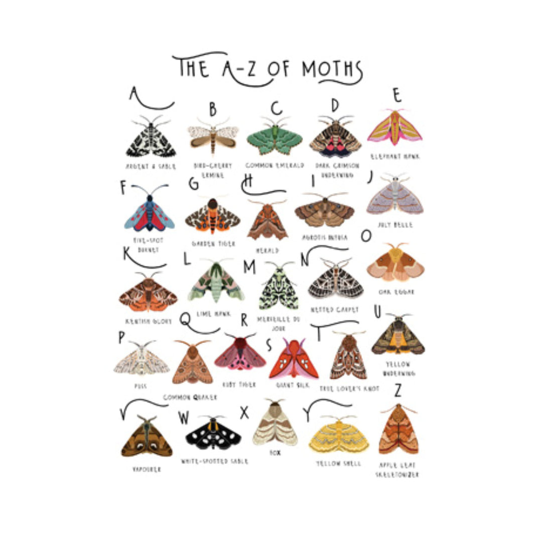 A-Z of Moths