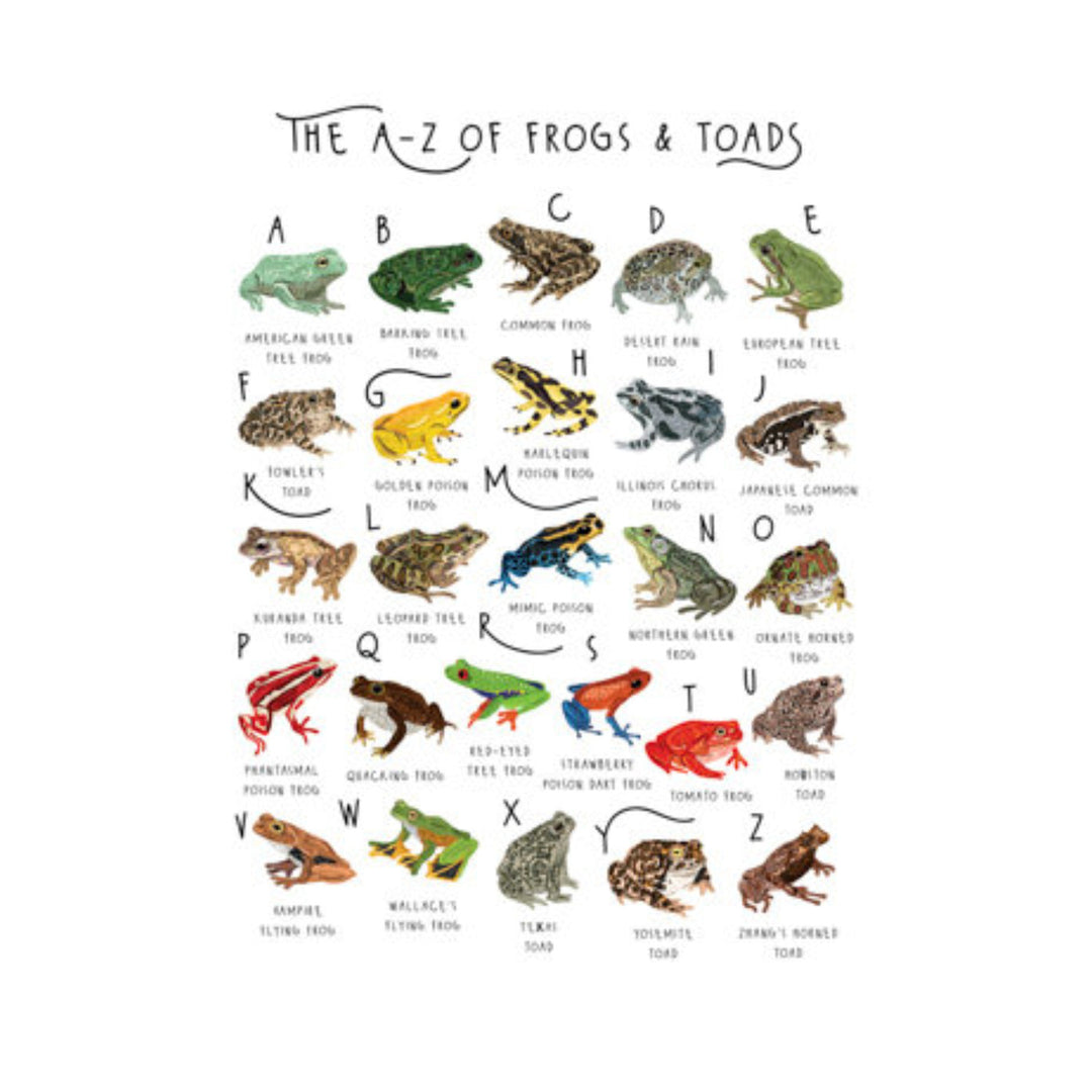 A-Z of Frogs & Toads