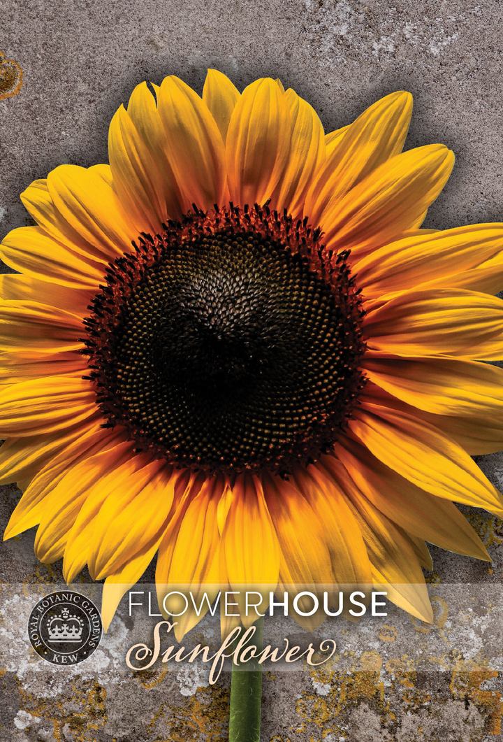 Kew Flower Seeds