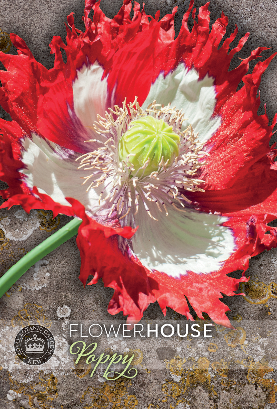 Kew Flower Seeds