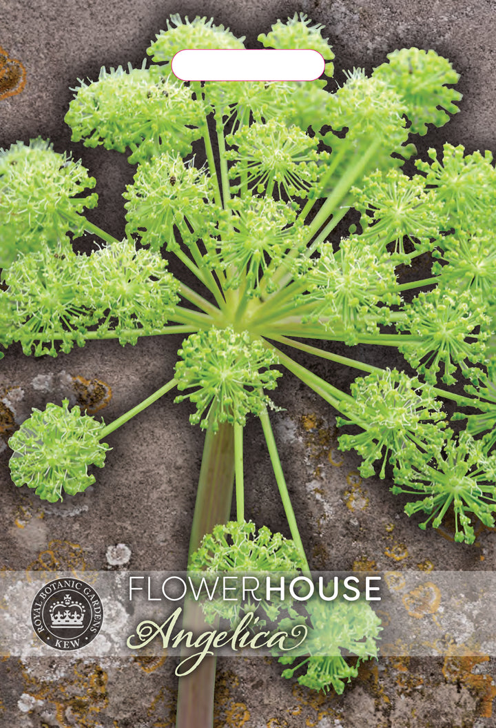 Kew Flower Seeds