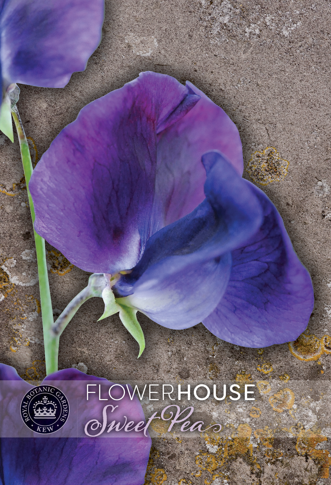 Kew Flower Seeds