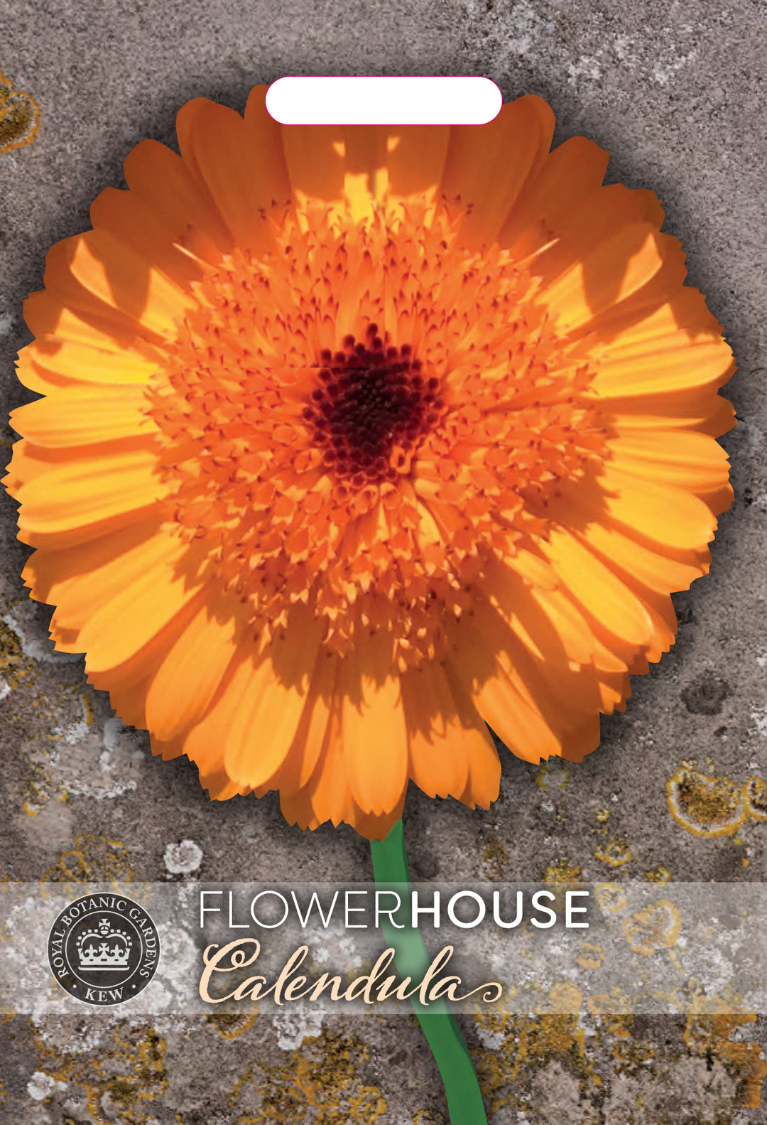 Kew Flower Seeds