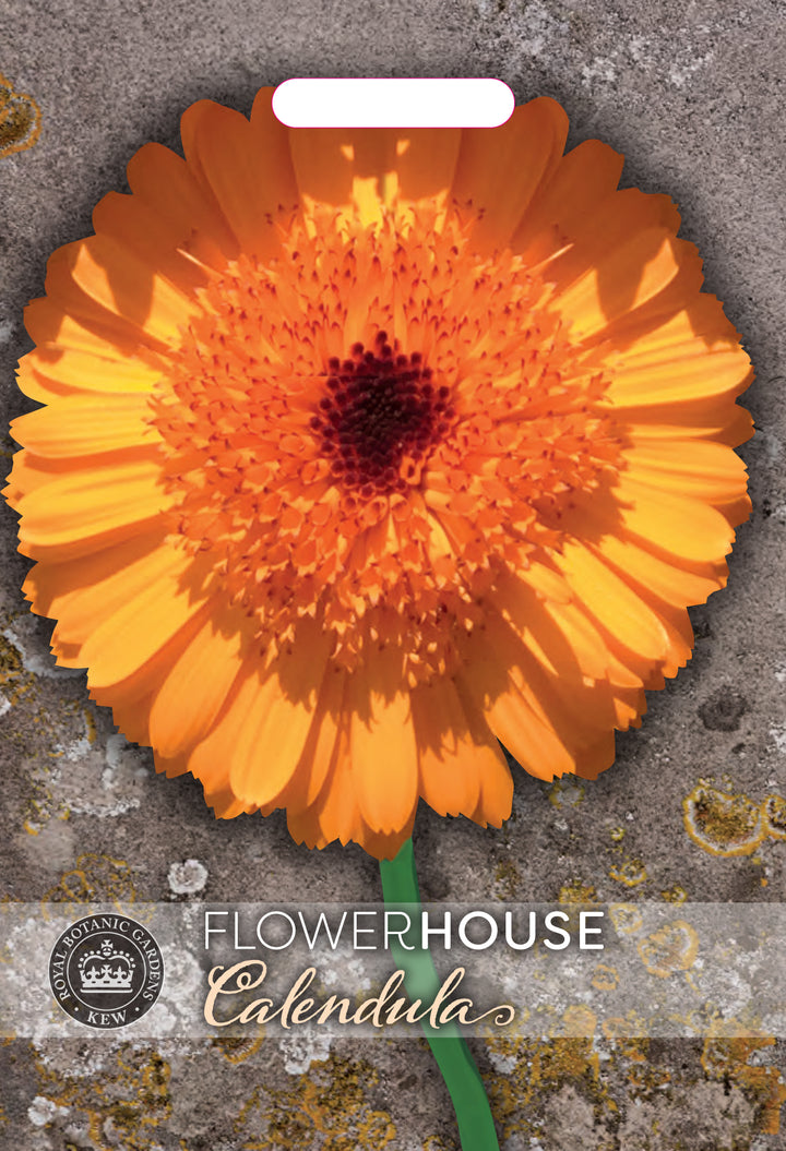 Kew Flower Seeds