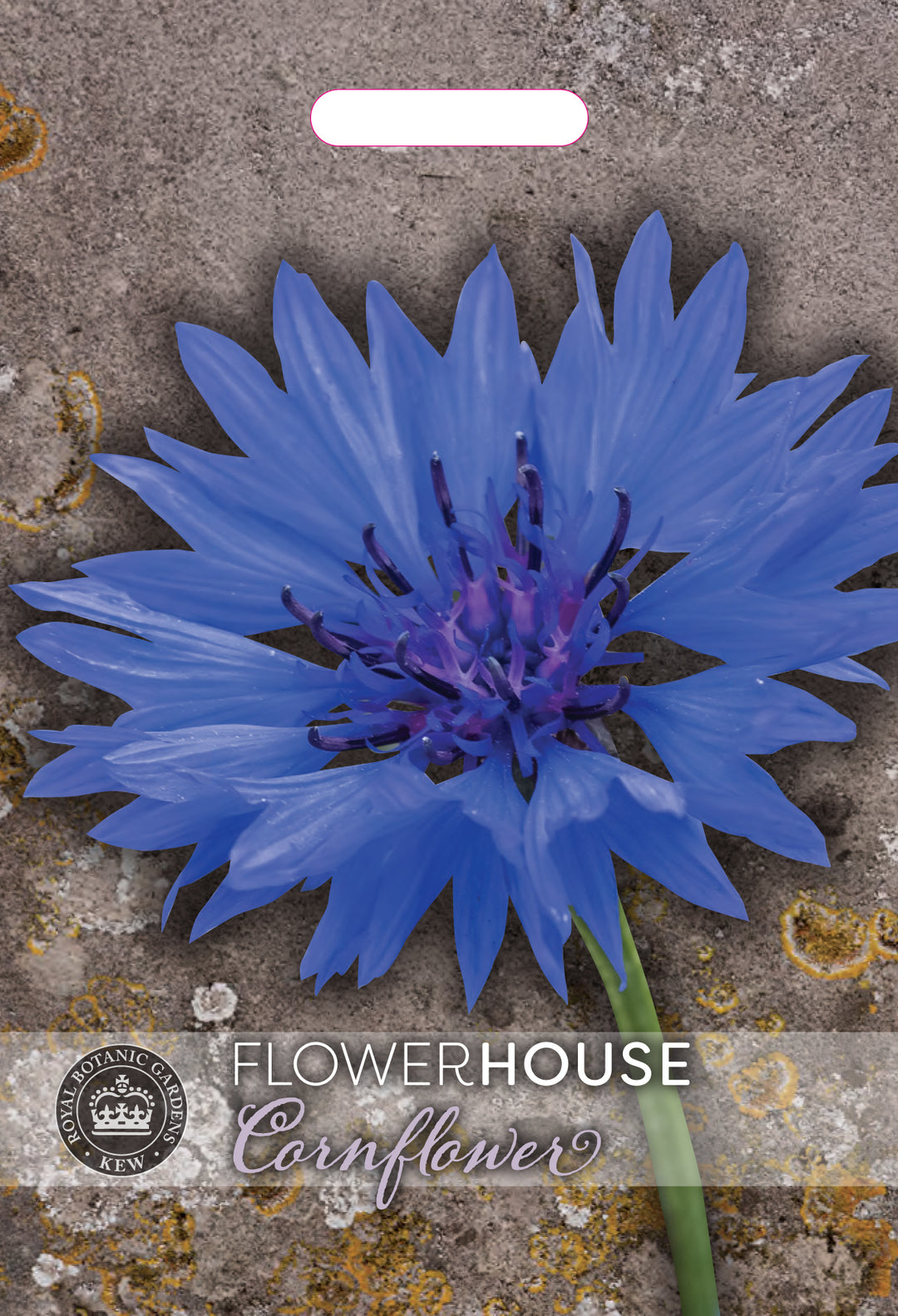 Kew Flower Seeds