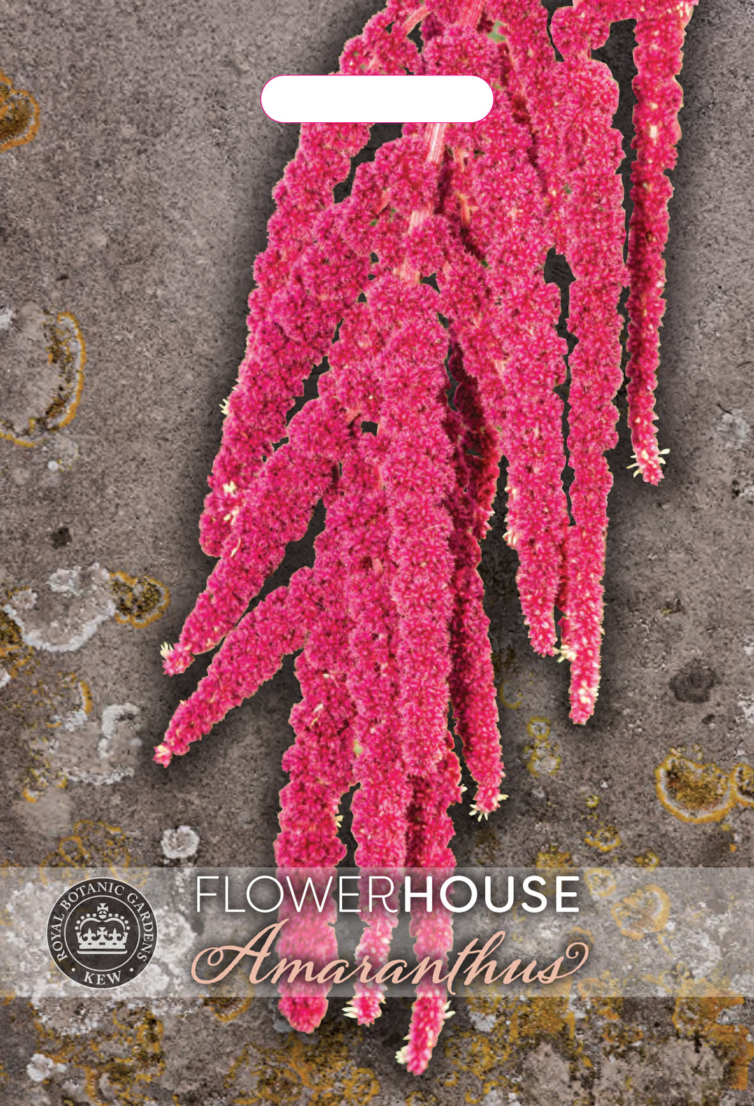 Kew Flower Seeds