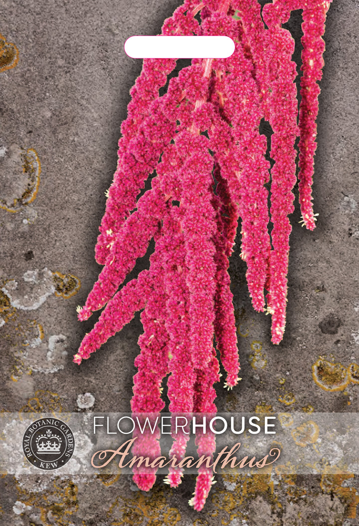 Kew Flower Seeds