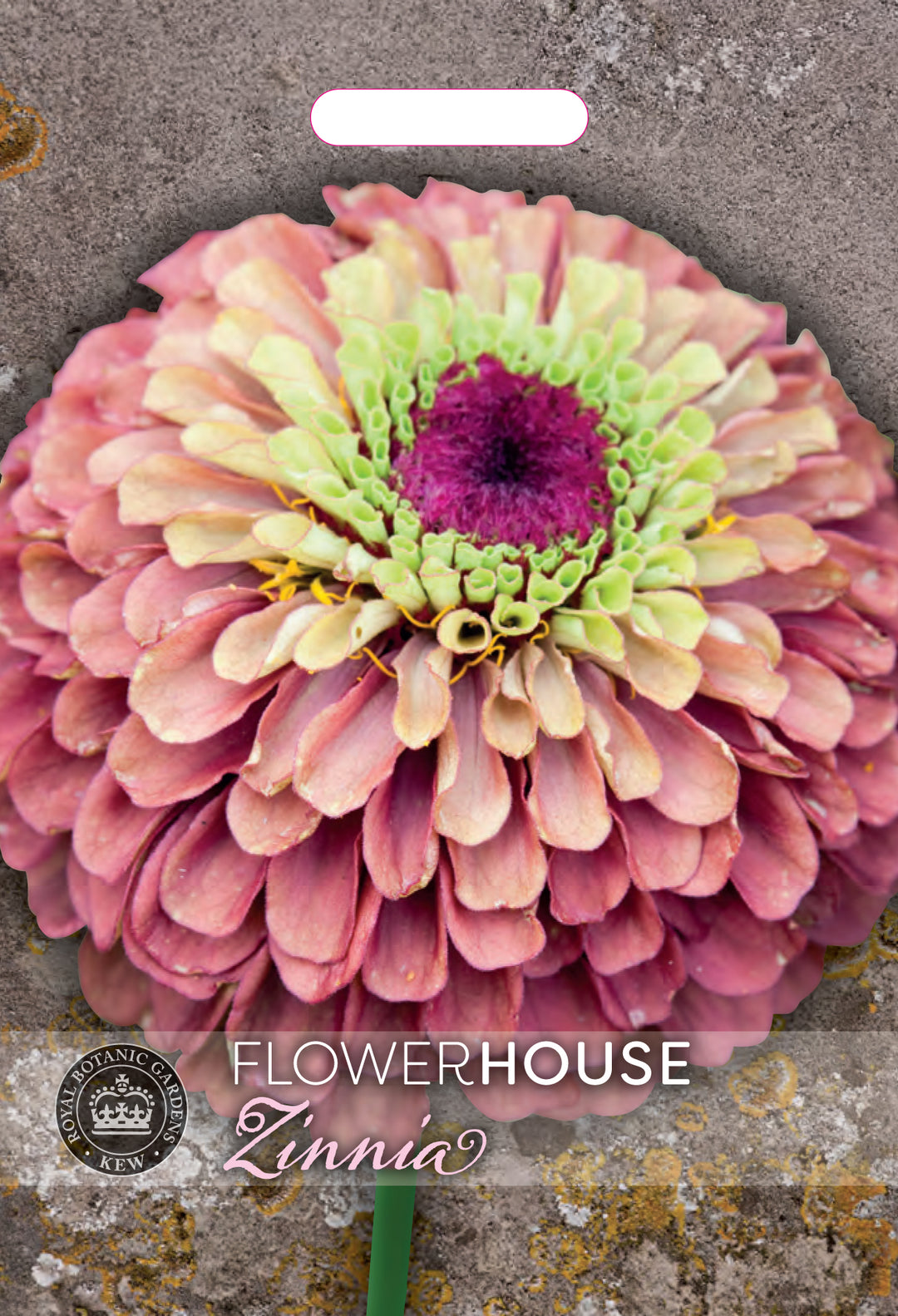 Kew Flower Seeds