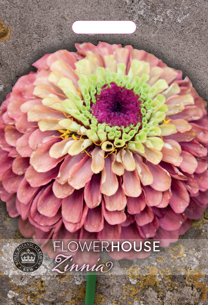 Kew Flower Seeds