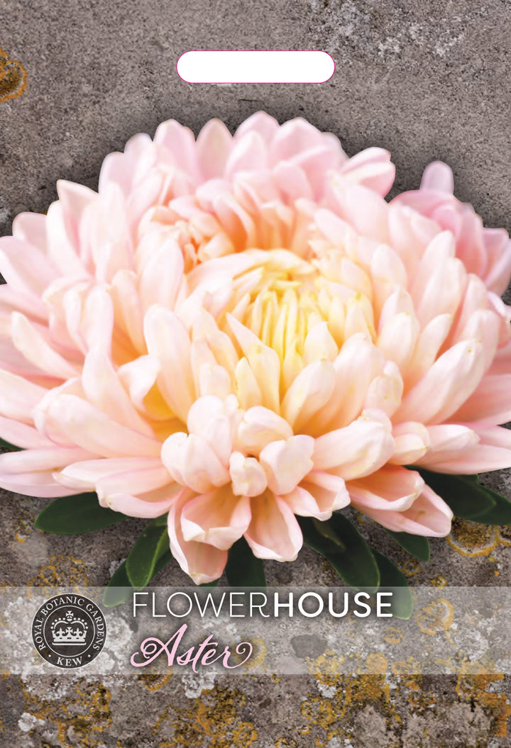 Kew Flower Seeds