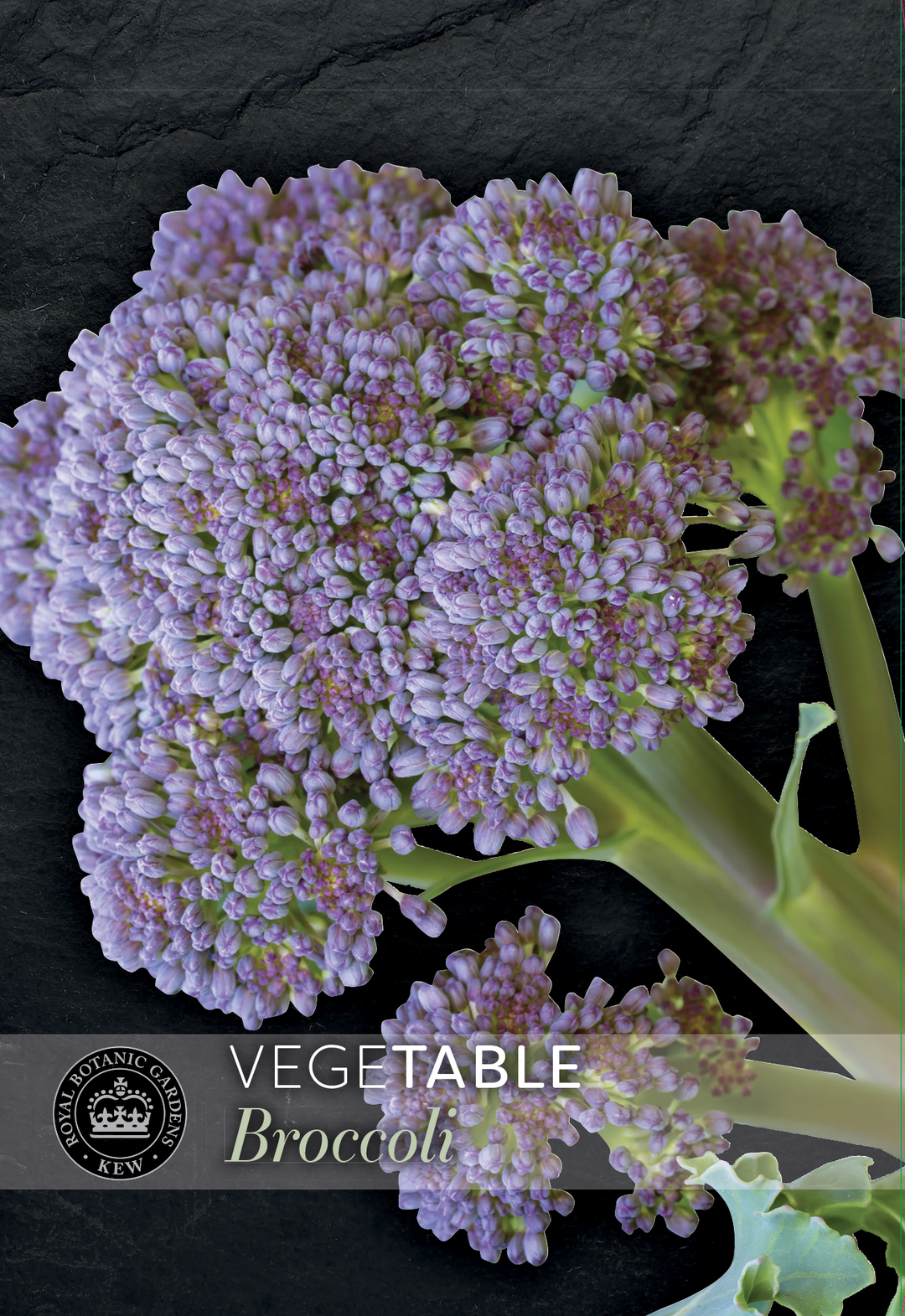 Kew Veg Seeds