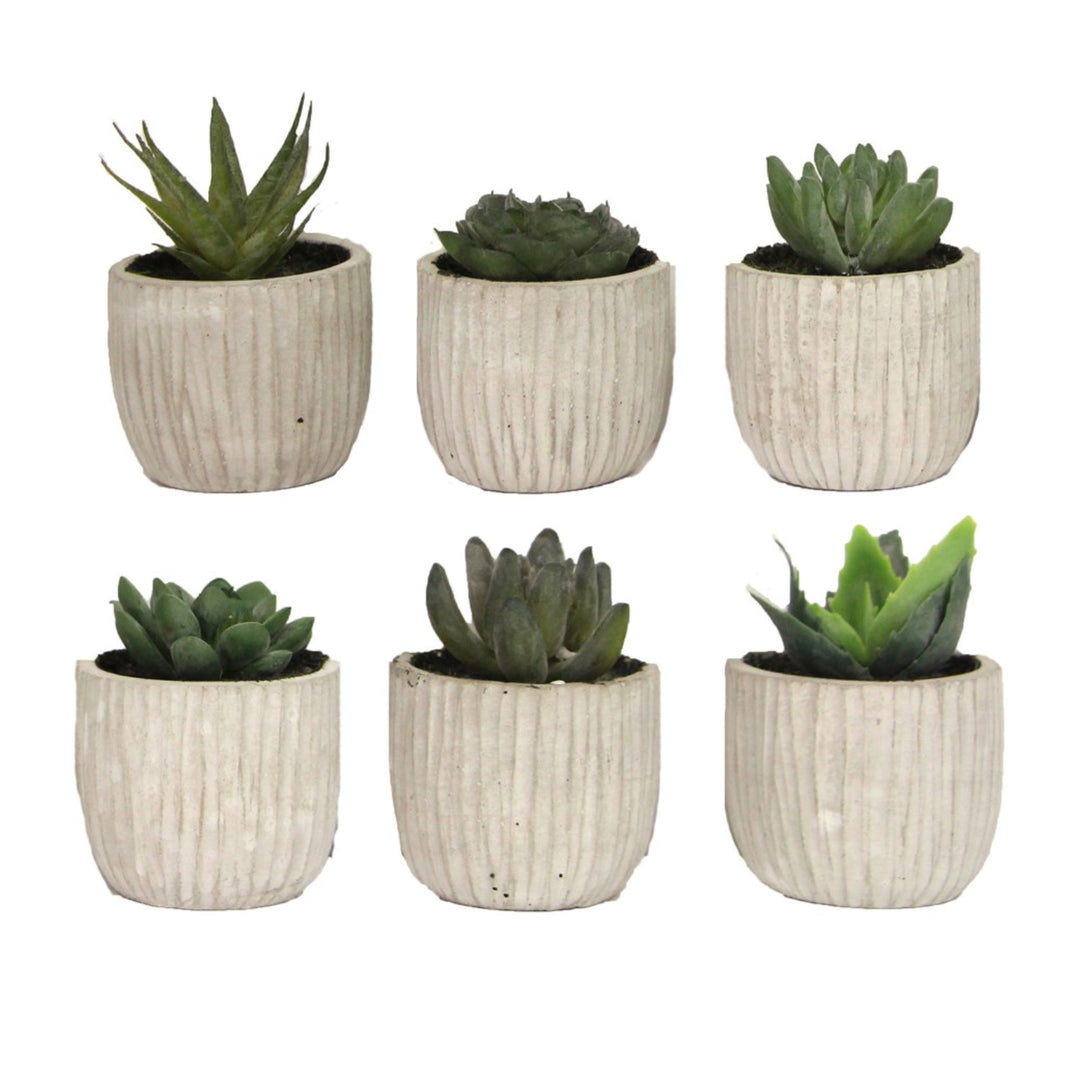 faux succulent plants uk Faux Mini Succulent in Pot – Trevenson Moor Limited, Cornwall