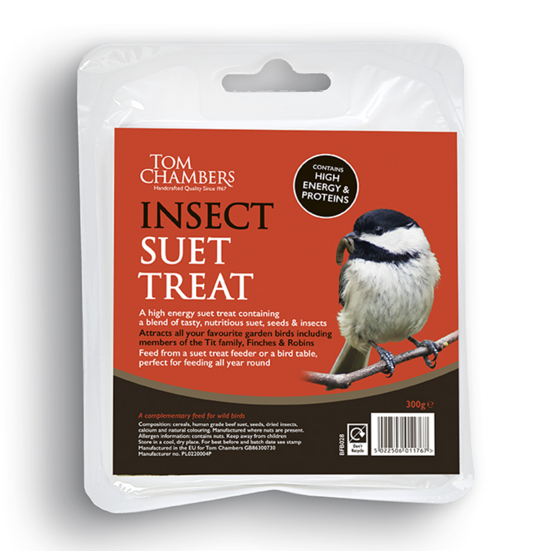 Suet Insect Treat