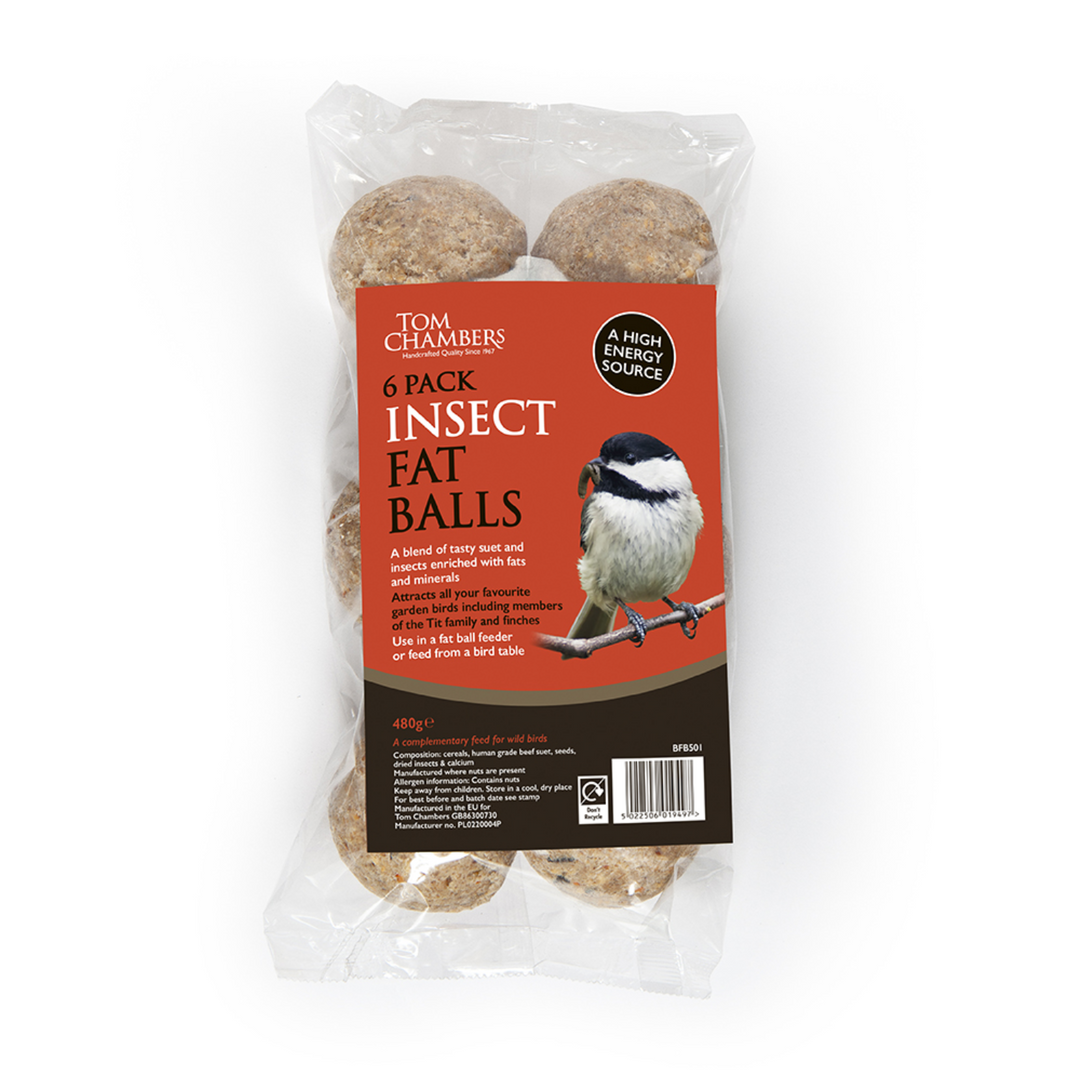 Insect Fat Balls 6pk