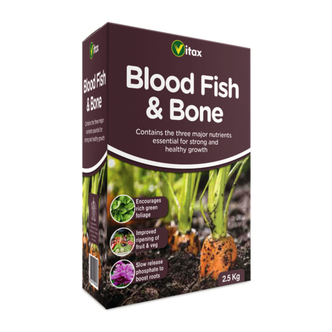 Blood Fish & Bone
