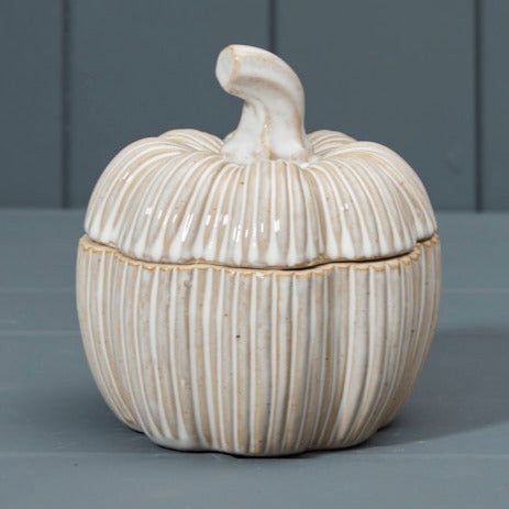 Ceramic Pumpkin Pot