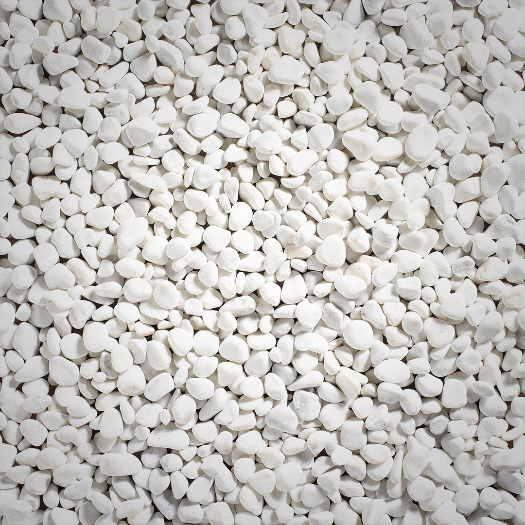 Coral White Pebbles