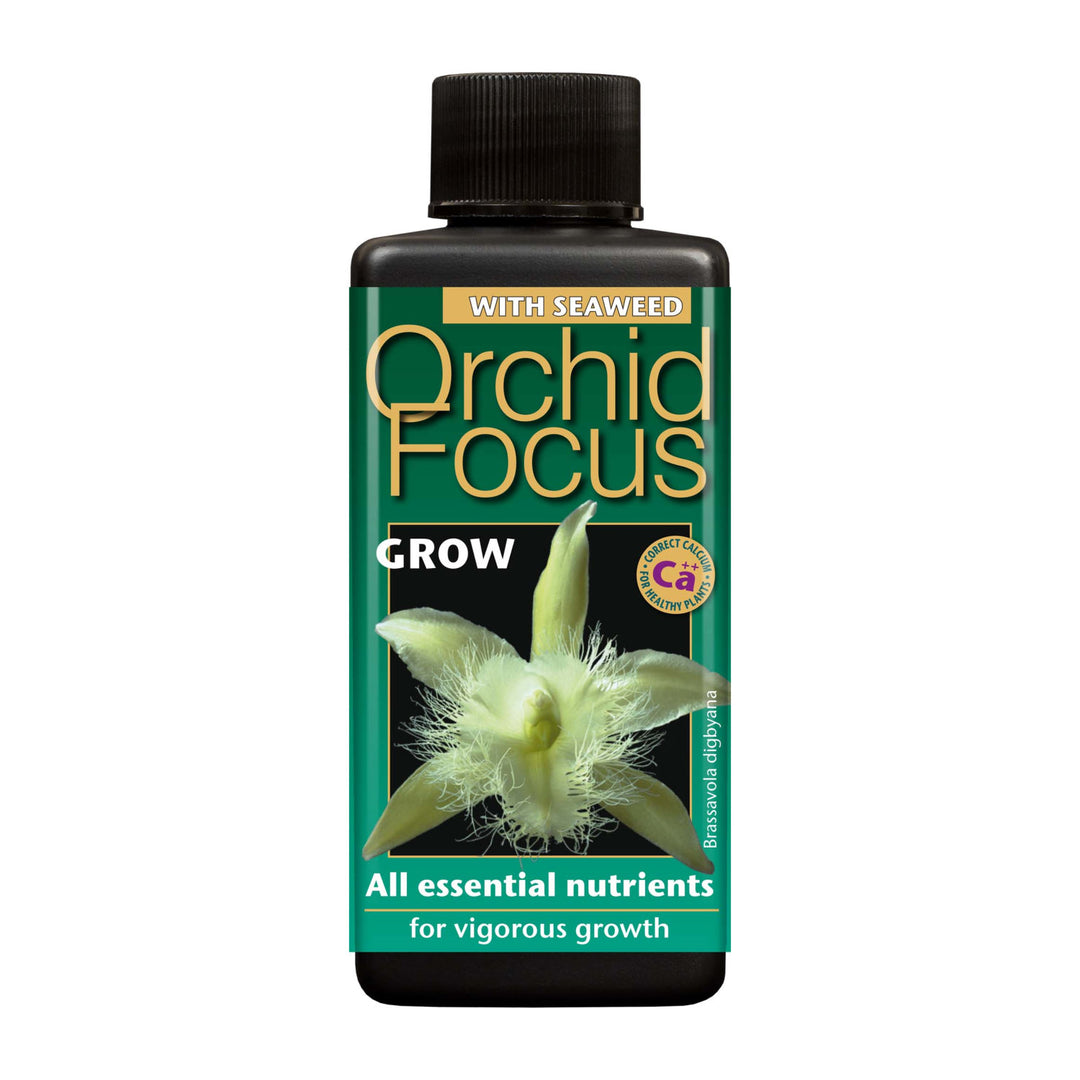 Orchid Focus Grow