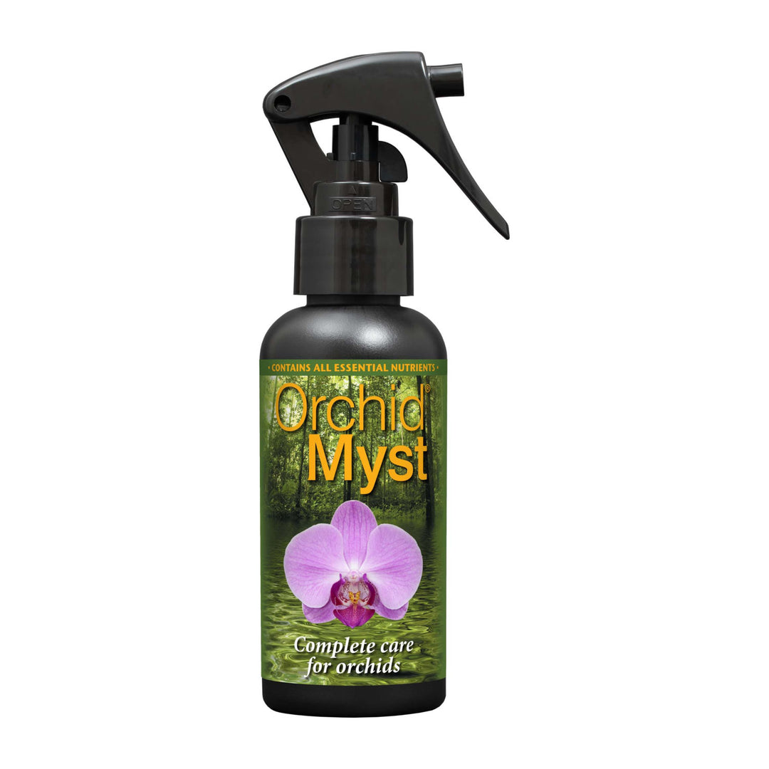 Orchid Myst