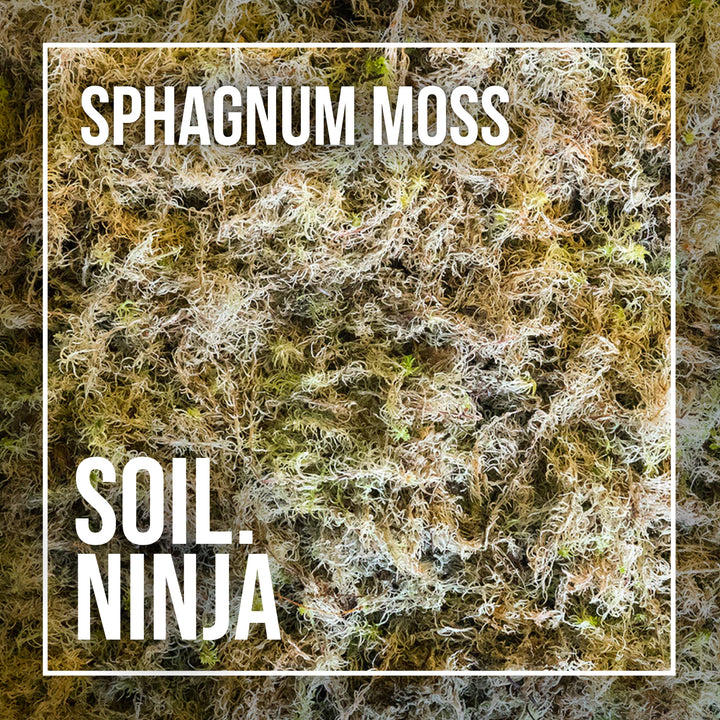 Sphagnum Moss 5L